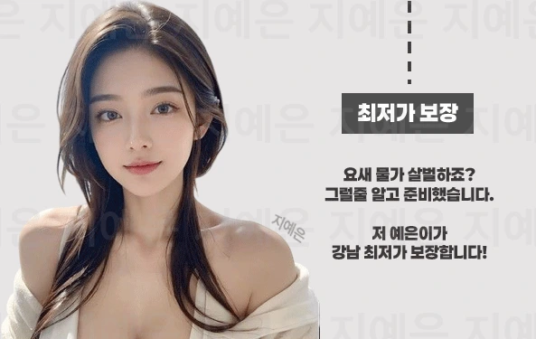 선릉 유흥 선릉 룸빵 이미지7